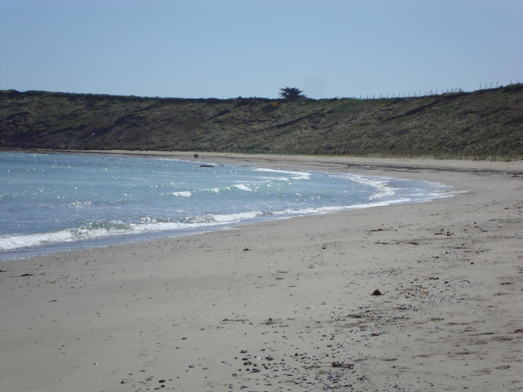 Clifford House B & B Rosslare Harbour Eksteriør bilde