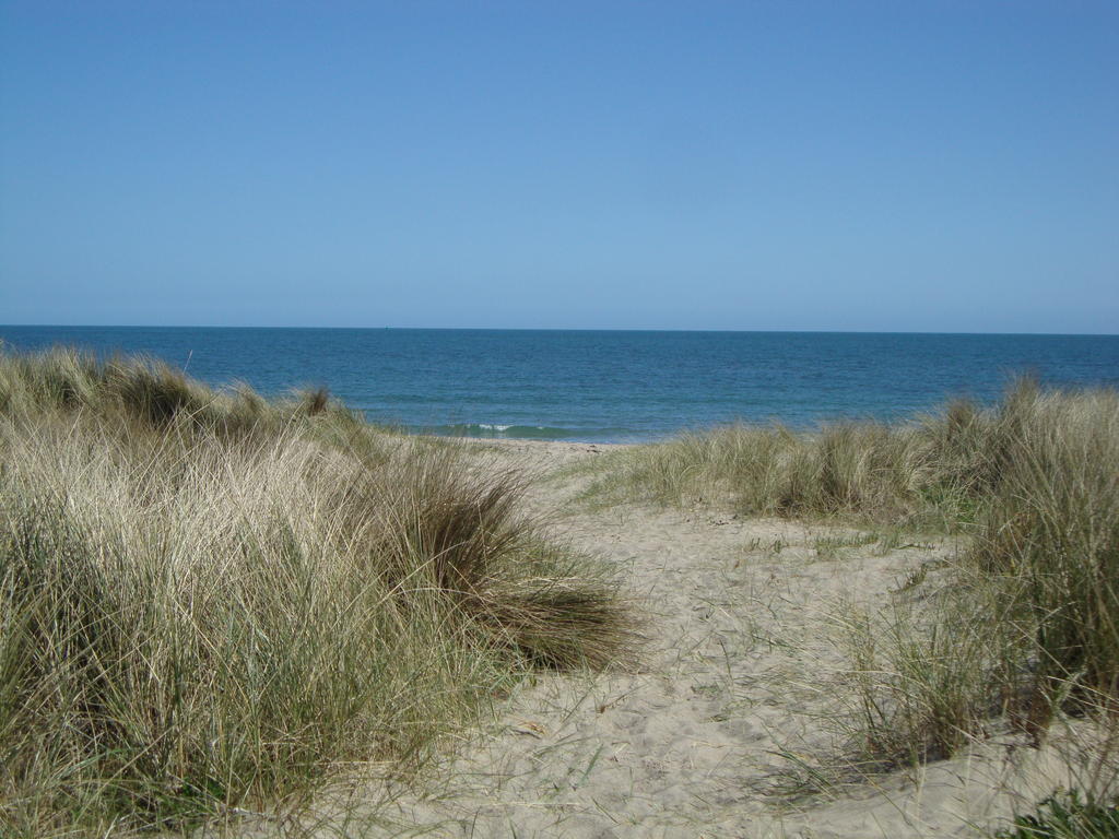 Clifford House B & B Rosslare Harbour Eksteriør bilde