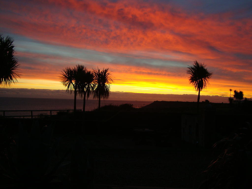 Clifford House B & B Rosslare Harbour Eksteriør bilde